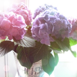 craftberrybush1