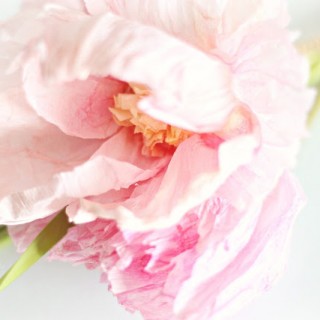 crepepaperflowercloseupcraftberrybush