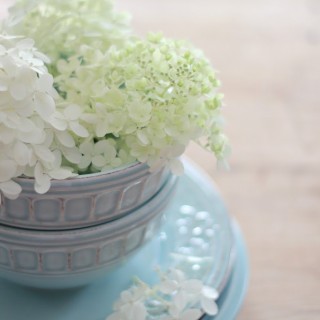 hydrangeascraftberrybush2