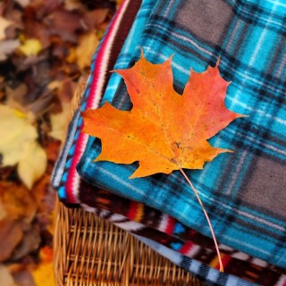 FALLPICNICBASKETWITHBLANKETSYELLOWLEAFCRAFTBERRYBUSH