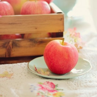 dreamyappleontablecraftberrybush