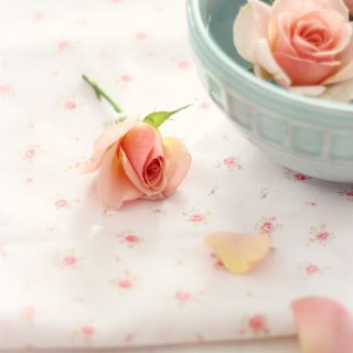 peachroseinturquoisebowlcraftberrybush