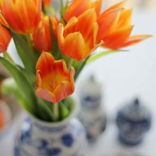 blueporcelainwithorangetulipscraftberrybush2