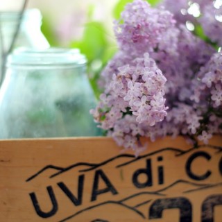lilaccloseupcraftberrybush