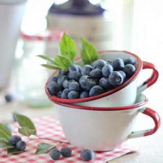 blueberriesinvintageenamelcupscraftberrybush3