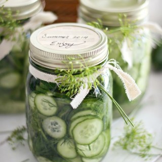 easyrefrigeratorpicklescraftberrybush