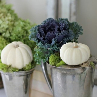 fallhometourcraftberrybush8