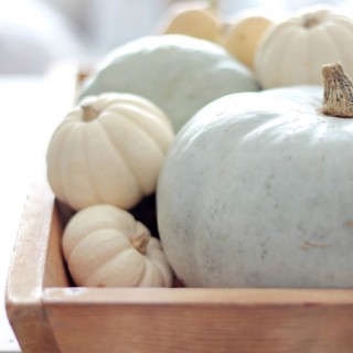 neutralpumpkinsonantiquewoodencratecraftberrybush
