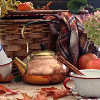 cinnamonapplespicelattecraftberrybush2
