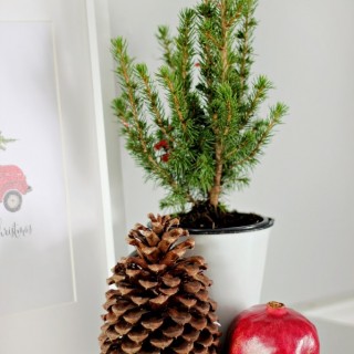 Christmasvignetteprintablecraftberrybush2