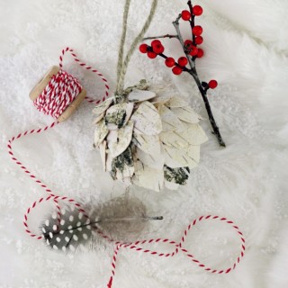 birchbarkpineconeornamentcraftberrybushforehow618