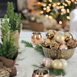 easyhostessgift2craftberrybush.com_