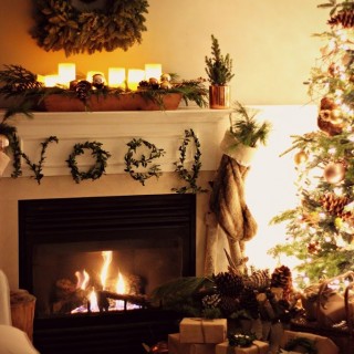 Christmasmantel2014eveningcraftberrybush2