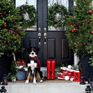 frontporchchristmascraftberrybush