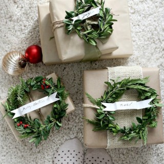 giftwrapideacraftberrybush