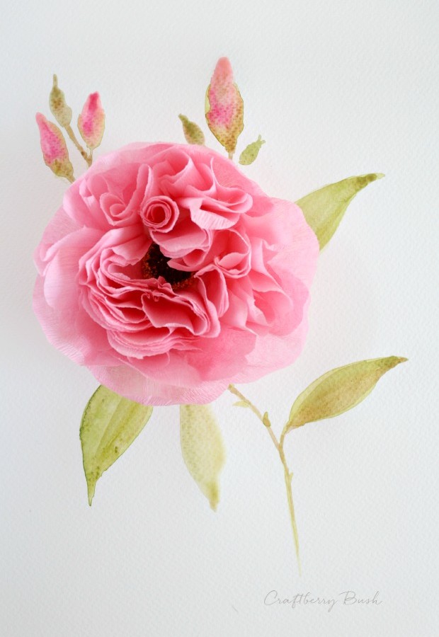 crepepapercabbagerosecraftberrybush2