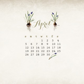 desktop1024x768