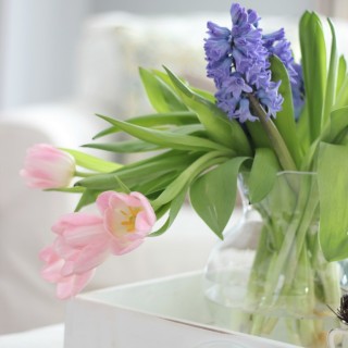 springtulipsandhyacinthscraftberrybush