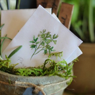 watercolorseedpacketgift2craftberrybush