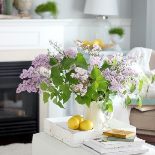 summerhousetourlilacscraftberrybush