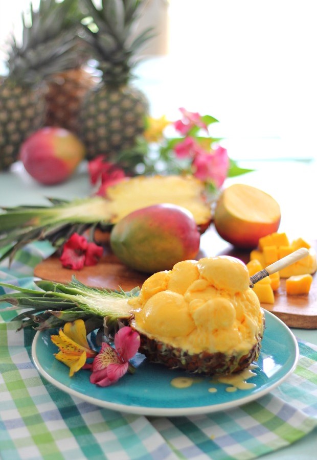 Pineapplecoconutmangosorbetcraftberrybush