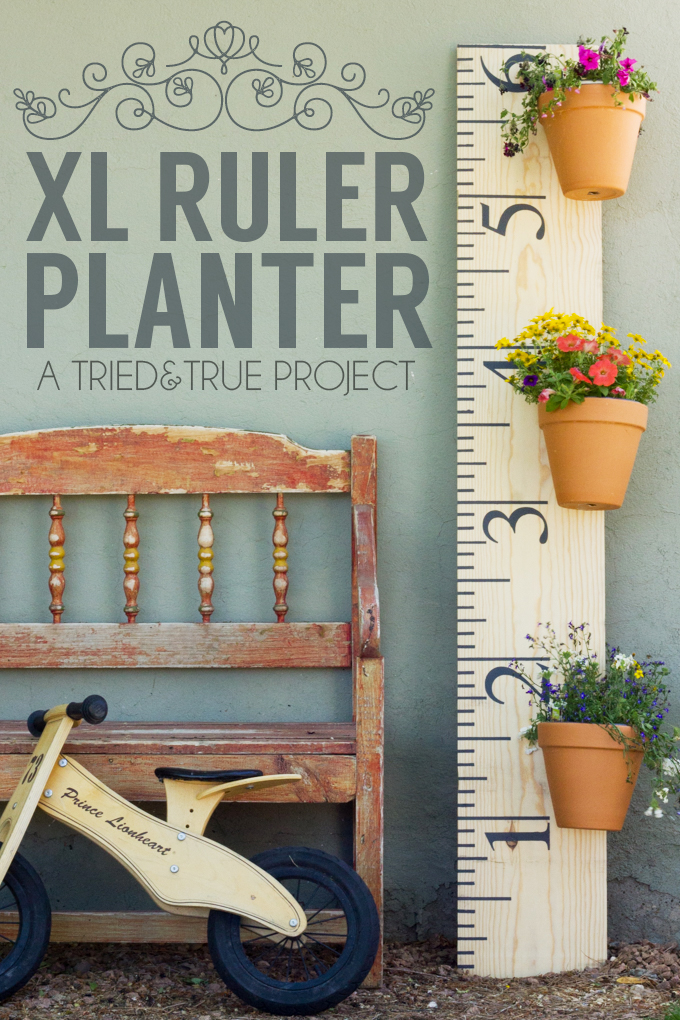 XL-Ruler-Planter-10