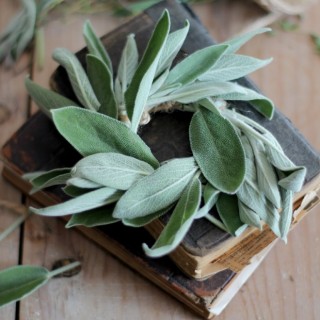 herbsagewreath