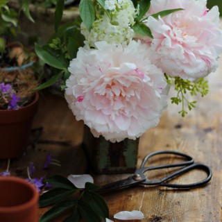peonies2craftberrybush