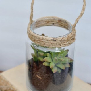 diylanternsucculentsandersonandgrant