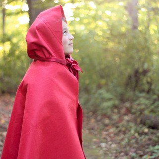 littleredcostumecraftberrybush