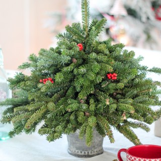 tabletoptreediycraftberrybush