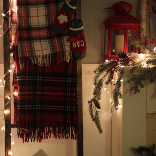 nighttimechristmascraftberrybush