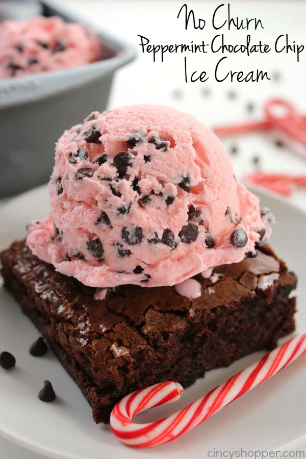 No-Churn-Peppermint-Chocolate-Chip-Ice-Cream-2