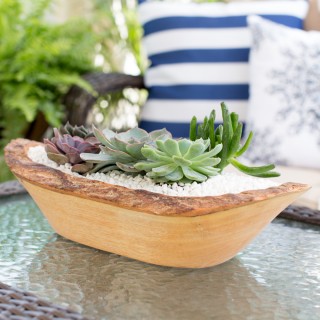succulentplantercraftberrybush (1 of 1)-2