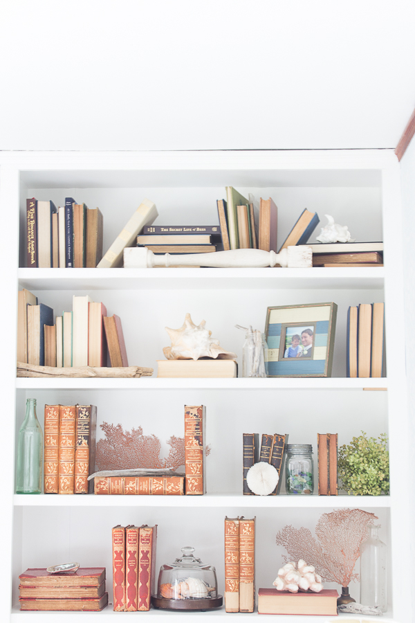 ShellsBooks-1