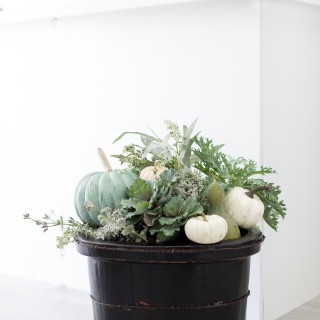 Fallplanter