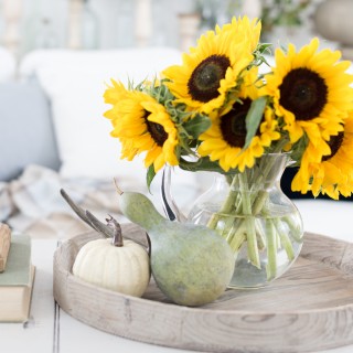 transitioning from summer to fall_