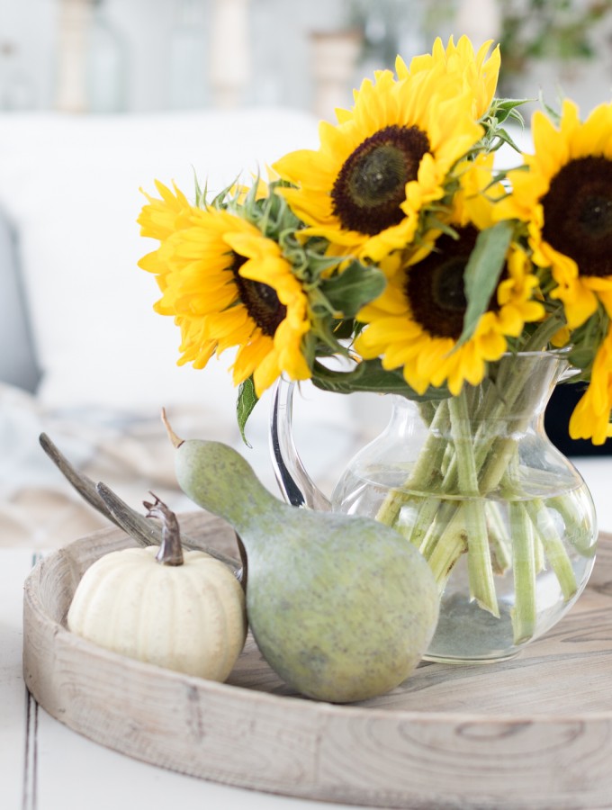transitioning from summer to fall_