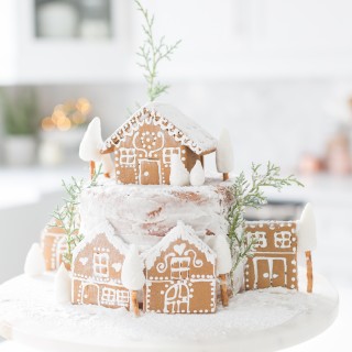 christmashometour2016craftberrybush-33