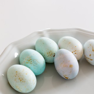Eastercenterpiececraftberrybush