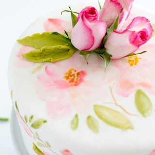 painted fondant cake_