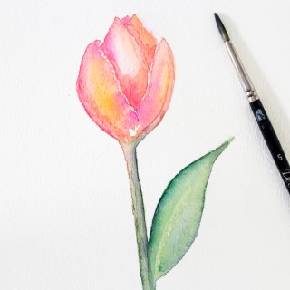 watercolortulip