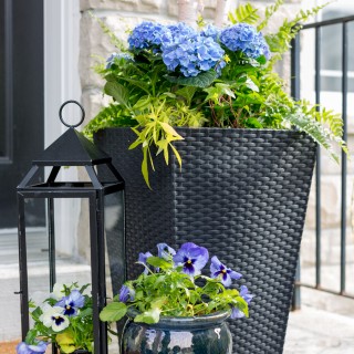 frontporchplantercraftberrybush.com