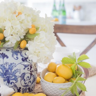 hydrangeasandlemonstablesettingcraftberrybush-2