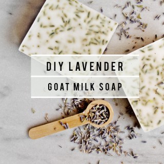 lifenreflection_lavender-hand-soap_1