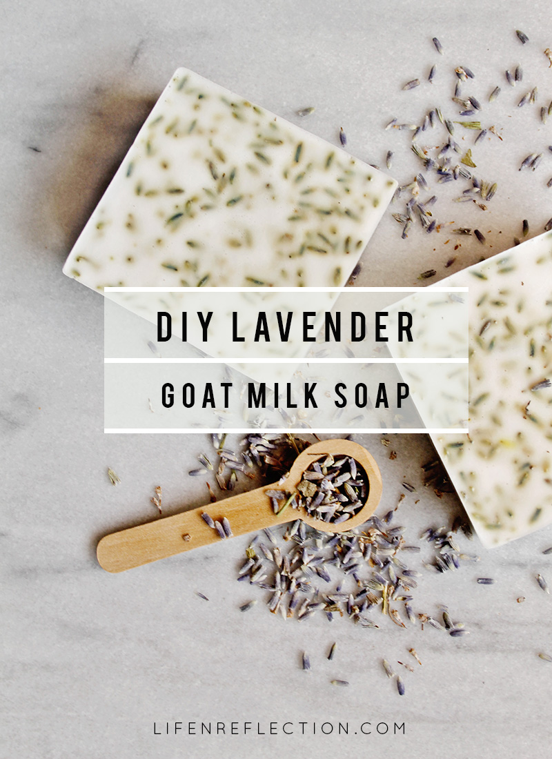 lifenreflection_lavender-hand-soap_1