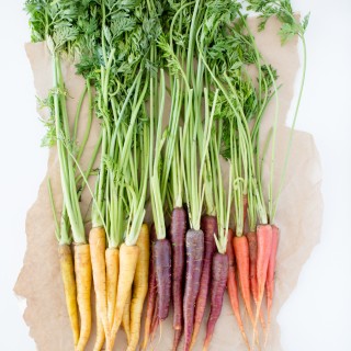 Roastedcarrotscraftberrybush