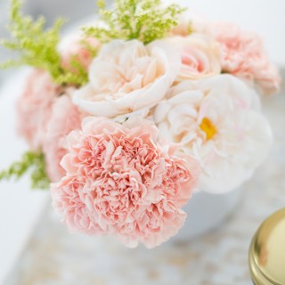 blushlivingroomcraftberrybush-4