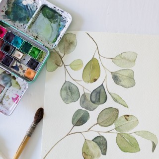 watercoloreucalytus-2