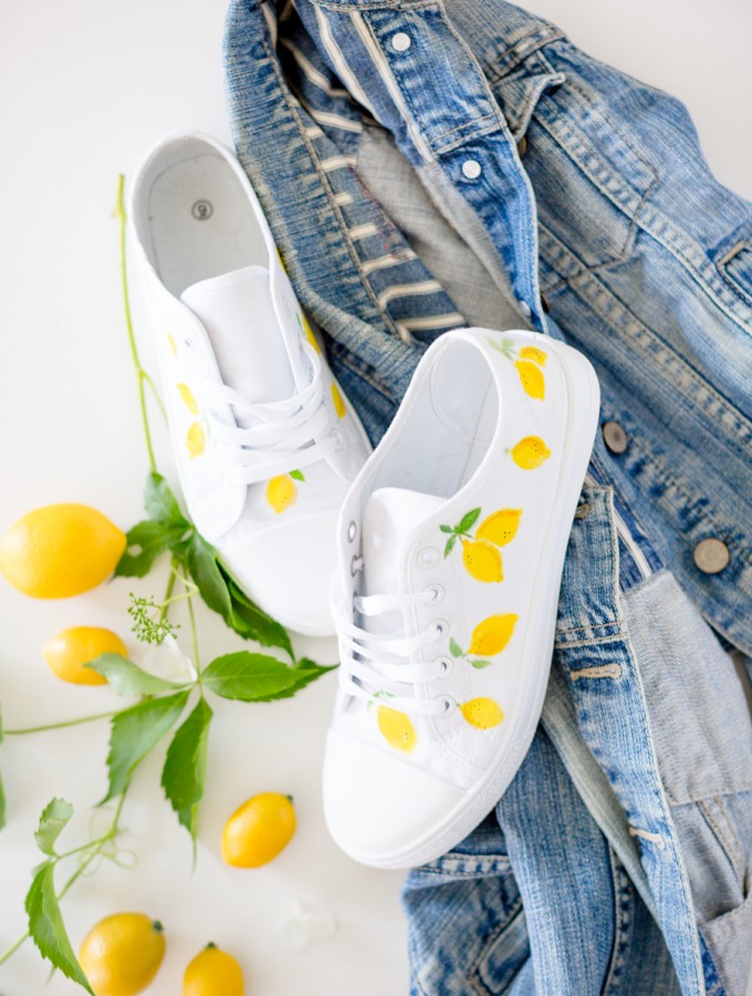 paintedshoescraftberrybush